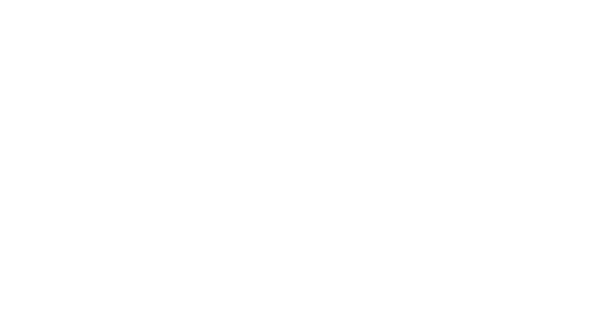 stimme.cloud logo